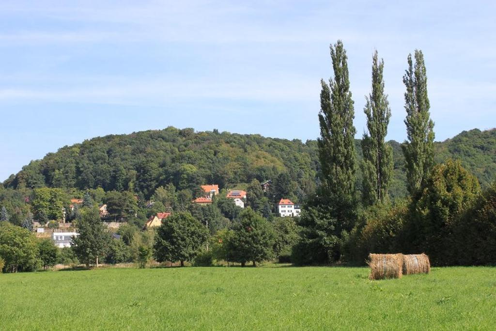 Traumhaftes Elb-Chalet Dresden Buitenkant foto